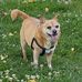 Beth Lawrie Callaway - Facebook