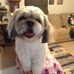Beth Carnes - Facebook