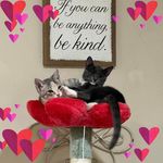 Beth Miller Carnes - @carnesbeth - Instagram