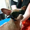 bethcarnes919 - @bethcarnes919 - TikTok