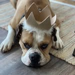 Beth Lawson Carver - @bcarver4 - Instagram