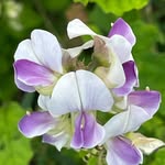 Beth Cavanaugh - @cavanaugh81403 - Instagram