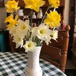 Mary Beth Cavanaugh Seeley - @cavanaughseeley - Instagram