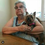 Beth Cecil - @bettcecil123 - Instagram