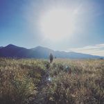 Mary Beth Cecil - @halcyonevintage - Instagram