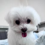 Beth Chang - @elizabeth.chang12 - Instagram
