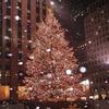 christmas..inspo..21 - @beths.christmas - TikTok
