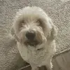 Beth Cline - @user73920464926 - TikTok