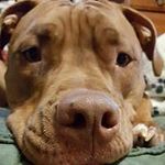 Beth Ann Colvin - @bethcolvin00 - Instagram