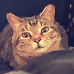 Beth Colvin - @hotorange409 - Instagram
