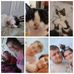 Beth Conner - Facebook