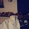 Beth Connerley - @beth.connerley - TikTok