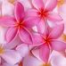 Beth Hudson Corey - Facebook