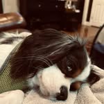 Beth covert - @covert8866 - Instagram