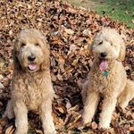 Beth Ann Henschen-Coyne - @kiyasmomforever - Instagram