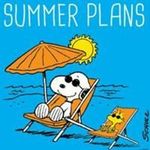 Beth Craig - @bethcraig4641 - Instagram