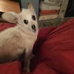 Beth Crawford - @bethcrawford6061 - Instagram