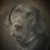 Beth Crim - @b526668 - TikTok