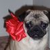 Beth Crockett - Facebook
