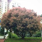 BethCrockett - @t1s7bsswon - Instagram