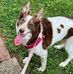 Elizabeth Ann Cundiff - Facebook