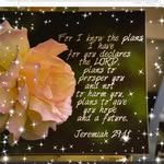 Beth Denham Dale - @bethdenhamdale - Instagram