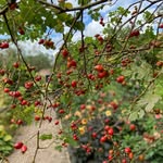 Beth Dickson - @bethdickson788 - Instagram