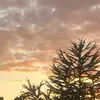 ❣️ - @beth.dodsonbackup - TikTok