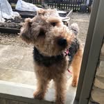 Beth Dodson-Wells - @bjdw78 - Instagram