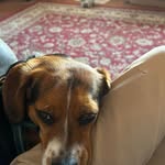 Beth Currier Donahue - @bethcurrierdonahue - Instagram