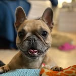 Beth Donaldson - @bellabeth70 - Instagram