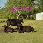 Beth Dotson - Facebook