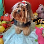 Beth Duarte - Facebook