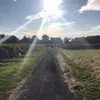 Beth Duc - @bethduc - TikTok