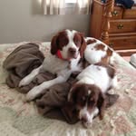 Beth Dudeck - @dudeckbeth - Instagram