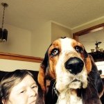 Betty Dudek - @bettydudek - Instagram