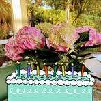 Elizabeth Dudek - Facebook