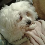 Beth Duffy - @beth.duffy.7758 - Instagram