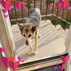 Beth Duffy - @beth.duffy7 - TikTok