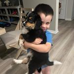 Beth Dulin Fields - @beth.dulin.54 - Instagram