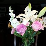 Betty Davis Dunaway - @bettydunaway - Instagram