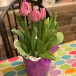 Beth Dunham Corso - @bethcorso - Instagram