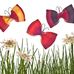 Beth Dunham Photography - Facebook