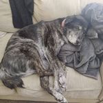 Beth Dusseau - @dusseaubeth - Instagram