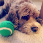 Beth Dyer - @beth_dyer_ - Instagram