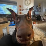 Calista Beth Dykes - @calista.dykes - Instagram