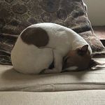 Beth - @eardleybeth75 - Instagram