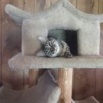 Beth Boggs Eason - @eason384 - Instagram
