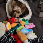 Beth Eason - @fefanel485 - Instagram