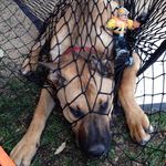 Beth Eason Faure - @bcfaure - Instagram